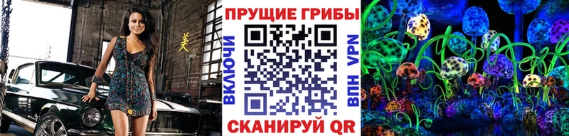 купить закладку  OMG сайт  Псилоцибиновые грибы Psilocybine cubensis  Западная Двина 