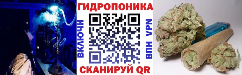МАРИХУАНА индика  наркошоп  Западная Двина 
